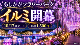 【あしかがフラワーパーク2026】イルミ10/17開幕！料金1,500円・点灯時間と昼夜入替の注意