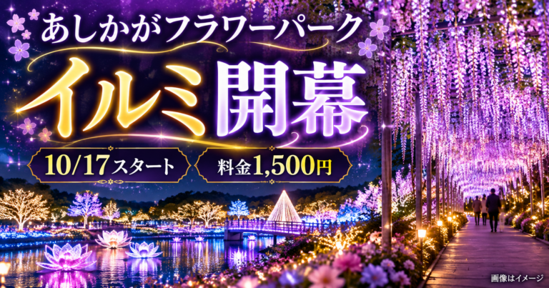 【あしかがフラワーパーク2026】イルミ10/17開幕!料金1,500円・点灯時間と昼夜入替の注意